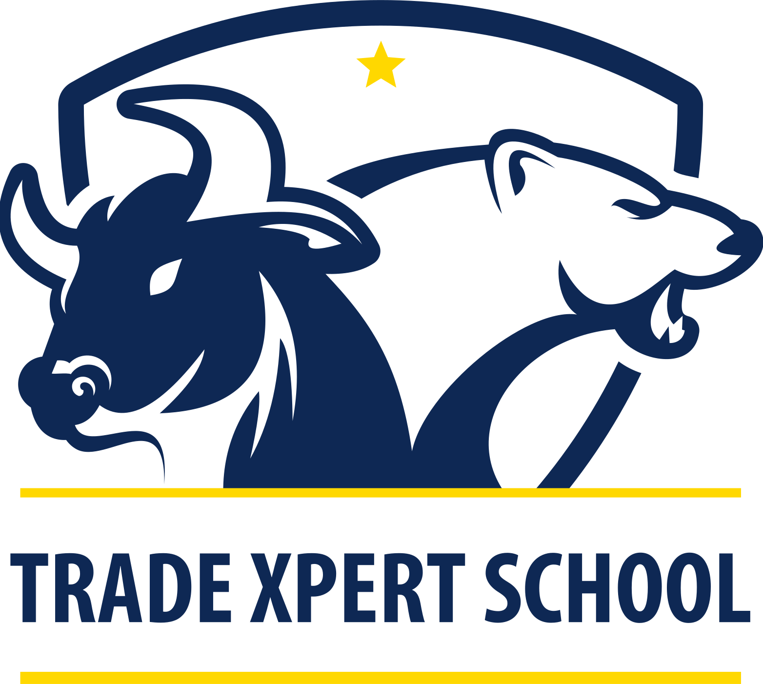 Trade Xpert School